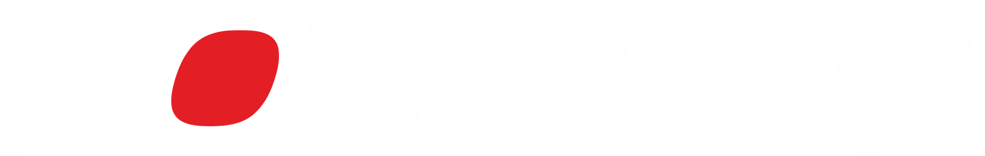 Protek Portal